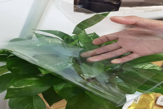高透明PVC膠板廠家，專業(yè)塑料膠片PC膠片，防風(fēng)帽PET片材