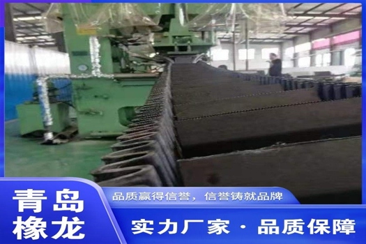 橡龍耐熱擋邊帶，花紋輸送帶，異形傳送帶定制服務(wù)