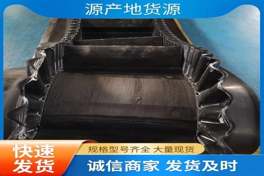 波狀擋邊輸送帶生產廠家，尼龍輸送帶升級版——環形耐磨抗拉