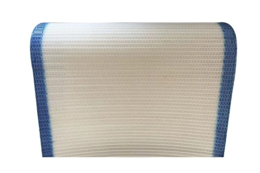 耐高溫烘干過(guò)濾網(wǎng)帶，食品輸送聚酯螺旋網(wǎng)帶填芯新品發(fā)布