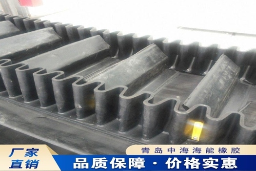 大傾角輸送帶EP300定制，中海海能裙邊環(huán)形傳送帶